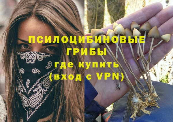прущая мука Белоозёрский