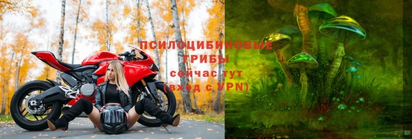 мдма Белокуриха
