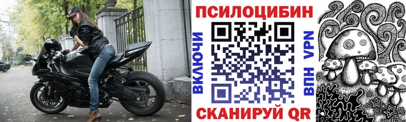 Псилоцибиновые грибы Magic Shrooms  Тогучин 